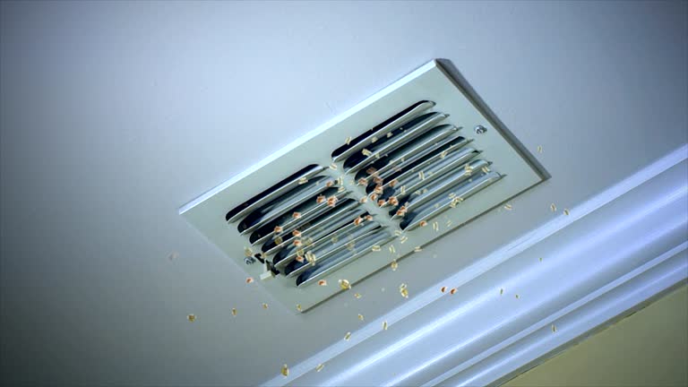 Best Emergency Air Duct Cleaning  in Lamar, MO