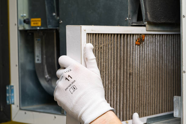 Best Ductwork Cleaning Services  in Lamar, MO
